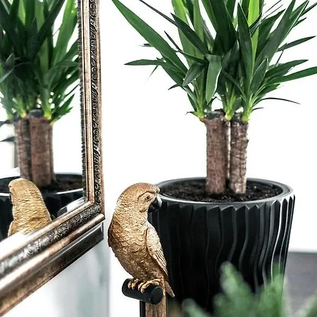 Apartment Luxury Loft